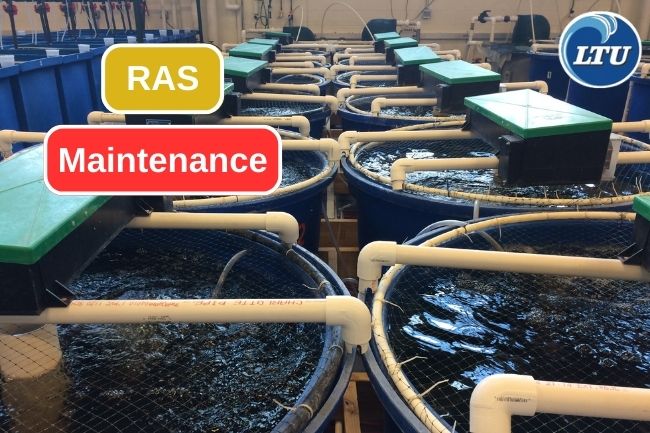 12 Aspects of RAS Maintenance System